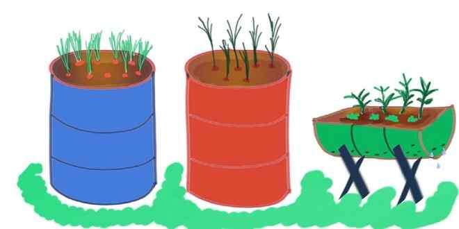 Evdeki Artıklarınızdan Organik/Doğal Kompost / Gübre Yapın Ve Kullanın !